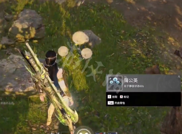 《永劫无间》蒲公英在哪里？蒲公英位置与功能介绍(图2)