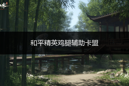 和平精英卡盟dmz_和平精英卡盟平台官网低价_和平精英卡盟