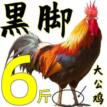 低价吃鸡卡盟_吃鸡黑号卡盟_卡盟吃鸡黑号可信吗