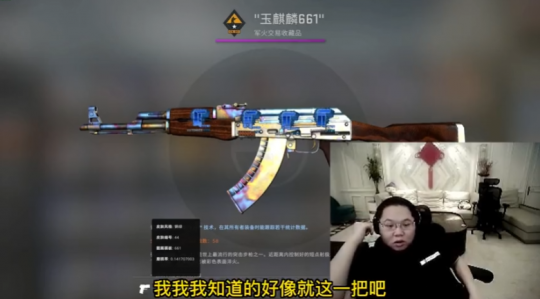 CSGO饰品天花板有哪些？顶级神豪玉麒麟库存，PDD都大开眼界(图2)