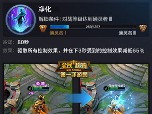 lol英雄辅助_英雄辅助联盟怎么玩_英雄联盟辅助