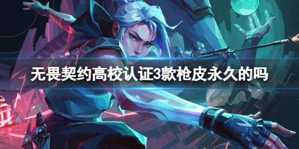 《无畏契约卡盟》高校认证3款枪皮永久介绍(图1)