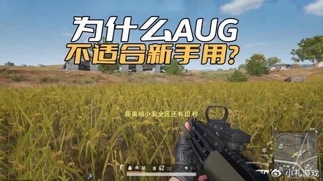 《绝地求生》AUG为什么不适合新手用？毕竟这把枪的性能还算可以(图1)