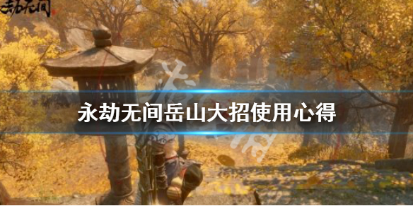 大招.jpg