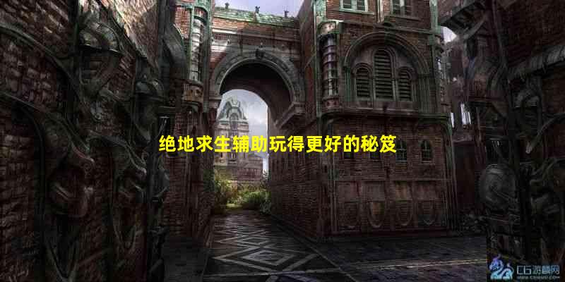 绝地求生辅助卡盟