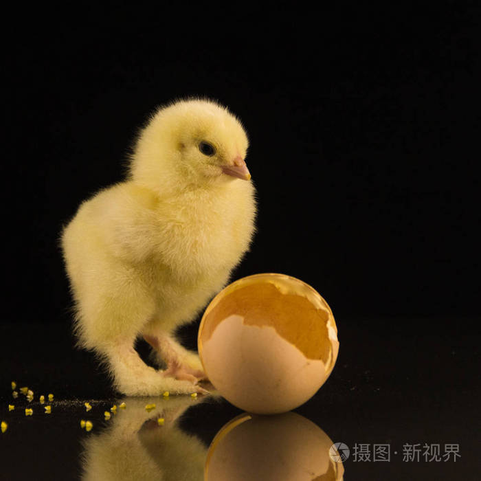 吃鸡卡盟