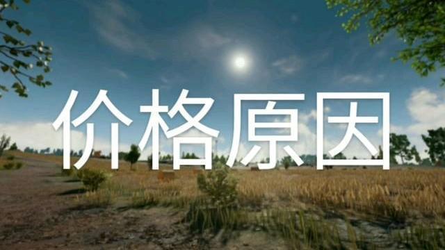 绝地求生卡盟Steam半价，现在入手pubg绝地求生是否明智？(图2)