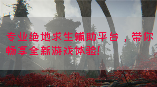 绝地求生辅助用处