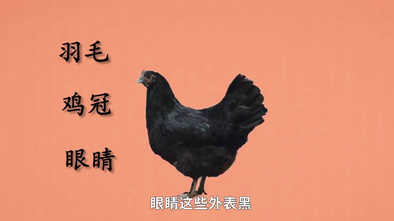 吃鸡黑号卡盟
