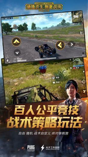 绝地求生辅助多少钱