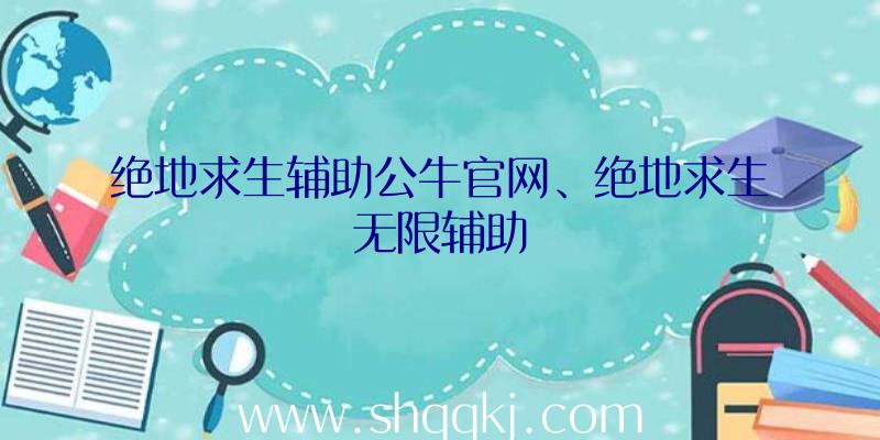 绝地求生辅助多少钱