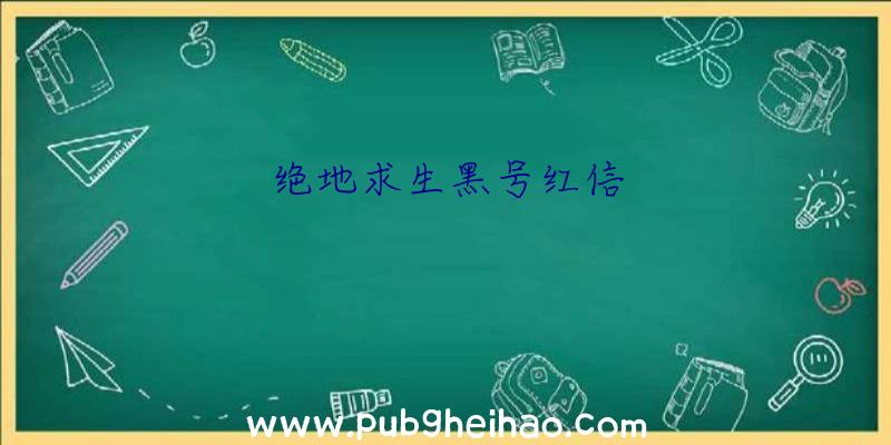 绝地求生黑号