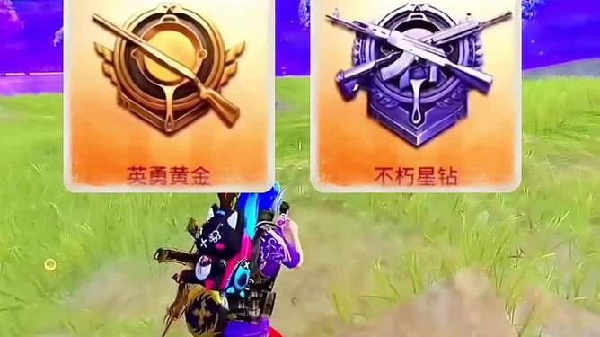 绝地求生辅助多少钱