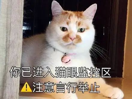 无畏契约辅助怎么用
