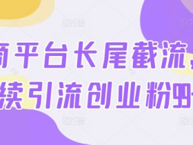 低价辅助卡盟