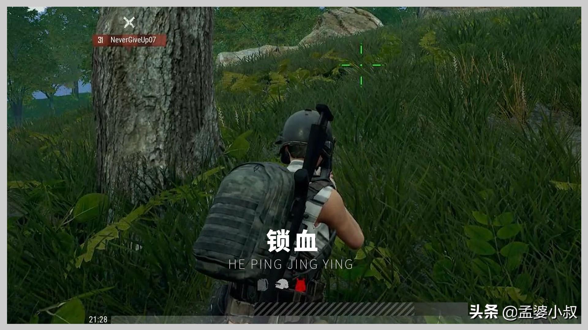 和平精英外挂