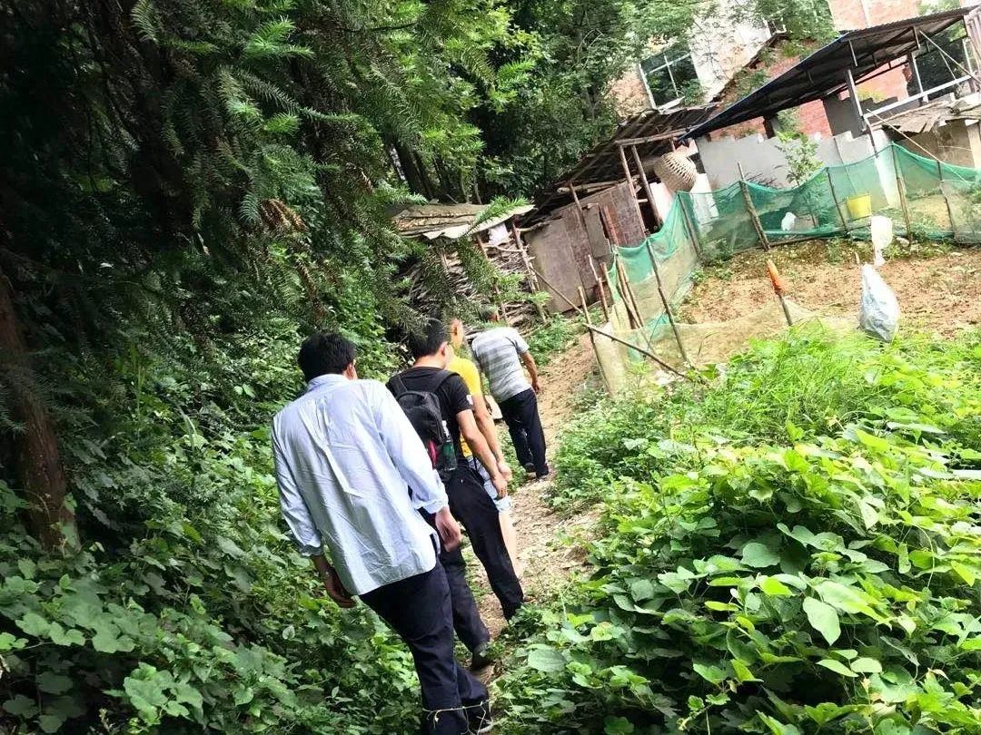 英雄联盟卡盟是什么