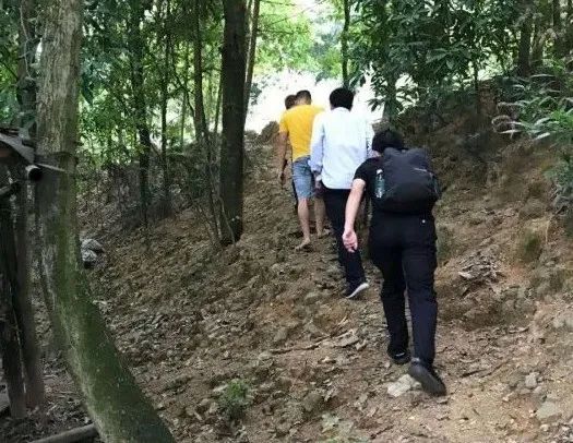 英雄联盟卡盟是什么